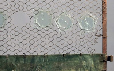 Exposition à la librairie galerie chant libre